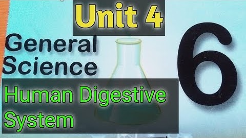 Unit 4 Human Digestive System 6th Class General Science Kpk Textbook