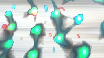 Concentric Circles - Carcass (Official Video)