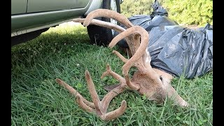 ARCHERY HUNTING KENTUCKY WHITETAILS: PART #3 FIRST SHOOTER STEPPED OUT screenshot 4