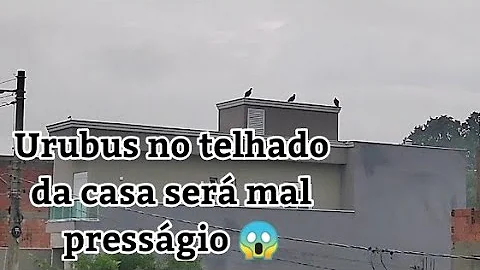 O que quer dizer urubu em cima do telhado?