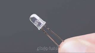 Tabda Tricks You Can Do At Home