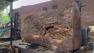 Dangerous Trembesi Wood Process ⚠️ Massive Log Almost Crushes The Saw Machine!