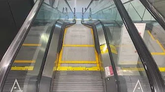 Watching the Dark Grey Step on the Escalator at The Tenor Winners (Both Directions) Part 1