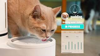 Drinkie: Your pets favorite self-cleaning water dispenser