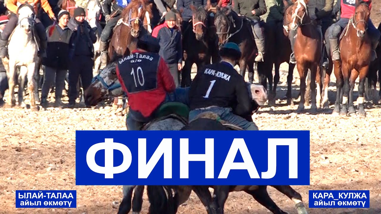 КӨК БӨРҮ кубогу 