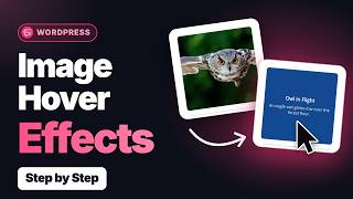 How to Add Image Hover Effects in WordPress (Beginner Guide)