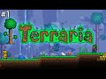 Learning the ropes | Terraria #1