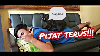 VIRAL KUCING LUCU AHLI PIJAT LOH!