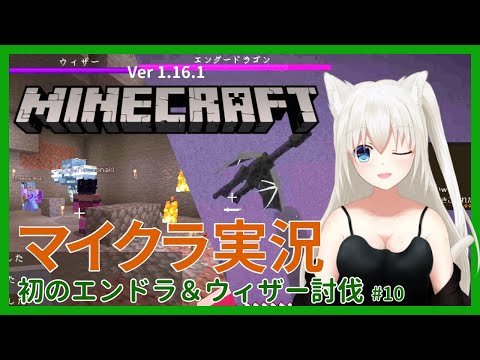 【Minecraft】初めてのエンドラ＆ウィザー討伐！with うー鯖の方々 #こゆきライブ 324