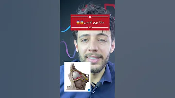 ماذا يرى الاعمى صدمة تعلم Explore Eyes معلومات 