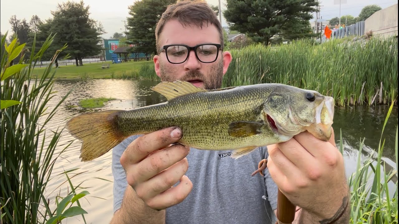 MONSTER CARP CAUGHT ON WACKY RIG IN ANCHOR BAY