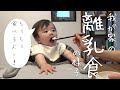 【離乳食】一緒に食べよ？？1日2回食のスケジュールと意識していること【ノーカット耐久】【離乳食中期】【生後8か月】赤ちゃん