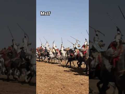 علفة مراد مغنية ولاية تلمسان من وعدة مسيد 2024 ولاية سيدي بلعباس 