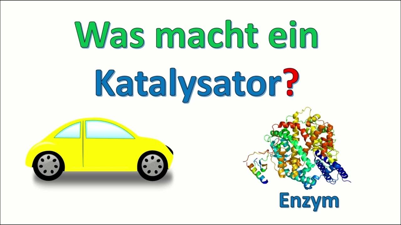 Was Müssen Sie über Katalysator Wissen www.youtube.com