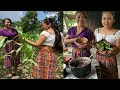 Haciendo tamalitos de masa envueltos en hojas de milpa