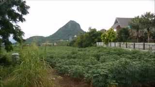 Driving From Bangkok To Home Resimi