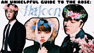 An Introduction To The Rose 더 로즈 Hajoon 하준