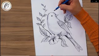 How to Draw a Bird with pencil |كيف أرسم عصفور بقلم الرصاص