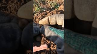 My METAL DETECTOR told me to DIG this and I DID