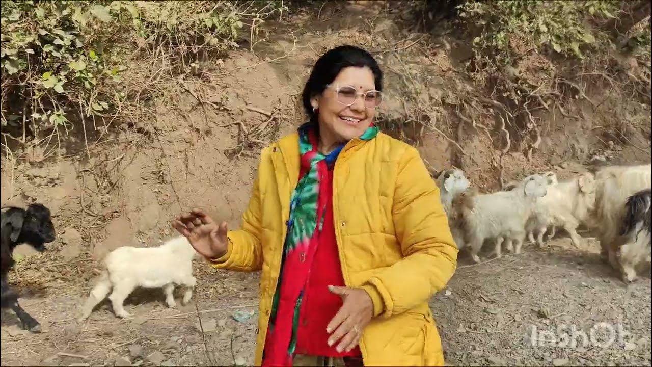 New year, new beginnings blessed by kujapuri Mata 