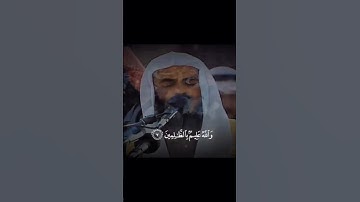 فتمنوا الموت إن كنتم صادقين سورة الجمعة مشاري العفاسي