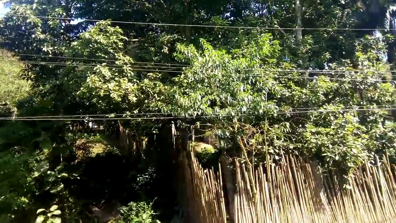 Riacho Grande São Bernardo do campo SP YouTube Riacho Grande São Bernardo do campo SP YouTube