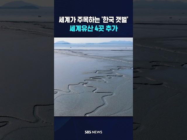 세계가 주목하는 '한국 갯벌'..세계유산 4곳 추가  / SBS / #shorts