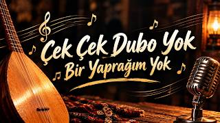 SanalBeste & Murat ÖZ - Çek Çek Dubo Yok Bir Yaprağım Yok (pop)