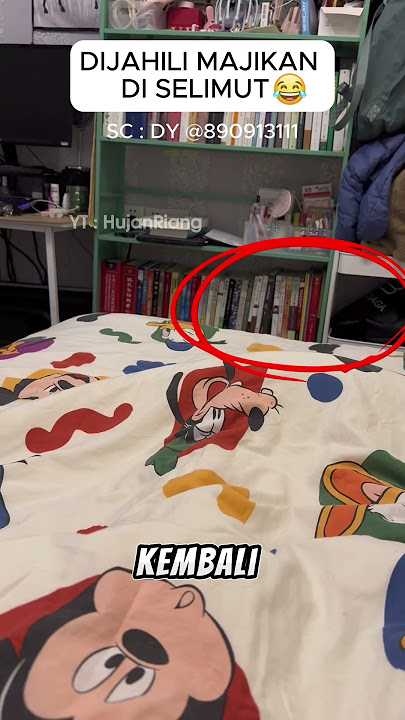 Majikan jahil terhadap si KUCING LUCU #lucuabis #ngakakkocak #kucingimut #shorts #viral