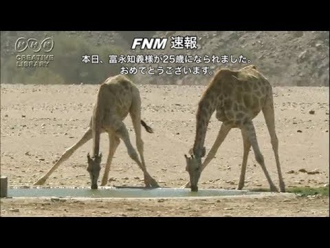 誕生日に盛り上がるおもしろサプライズ 盛り上がるドッキリネタ