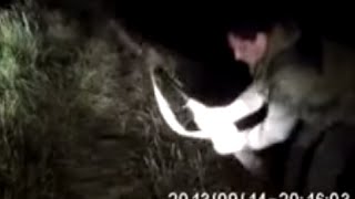 ОХОТА НА ЗАЙЦА ПРИКЛАДОМ ОХОТА НА ЗАЙЦА ПРИКЛАДОМ