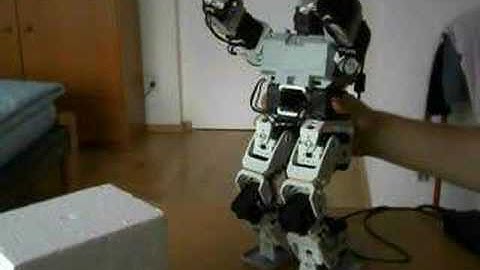 Bioloid picks up a box