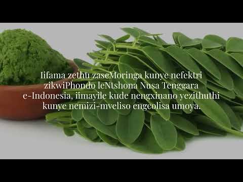 IMoringa Private Label ProductionRAW Moringa Exporter Supplier Ihoseyili yeMoringa iTe+6287758016000