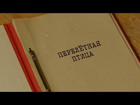 Перелётная птица | Вещдок. Особый случай. Чужое богатство