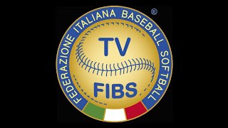 Italian Softball Series: Gara3-4  Rheavendors Caronno @ Italposa Forli'