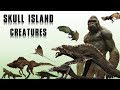 All Creatures of Skull Island Explained