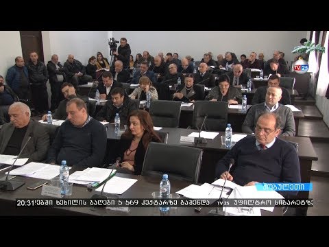 ქობულეთის საკრებულოს სხდომა ხმაურისა და დაპირისპირების ფონზე