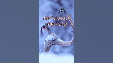 تلاوة عذبة كأنها شعاع من نور يضئ بها قلبك من سورة الواقعة للقاري حاتم المالكي/طبيعة وطيور