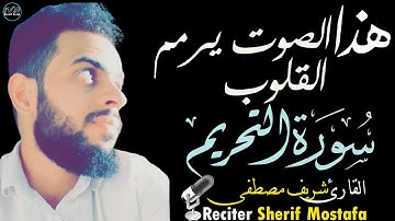 شريف مصطفى سورة التحريم | الصوت الذي يرمم القلوب😍Surah At Tahrim