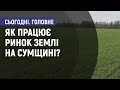 Як працює ринок землі на Сумщині? Сьогодні. Головне