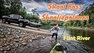 Catching my 1st Shoal Bass  Kayak Adventure Series