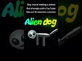 Day, one of making an animal out of emojis until a YouTuber over 5K subscribers comments#acookiegod