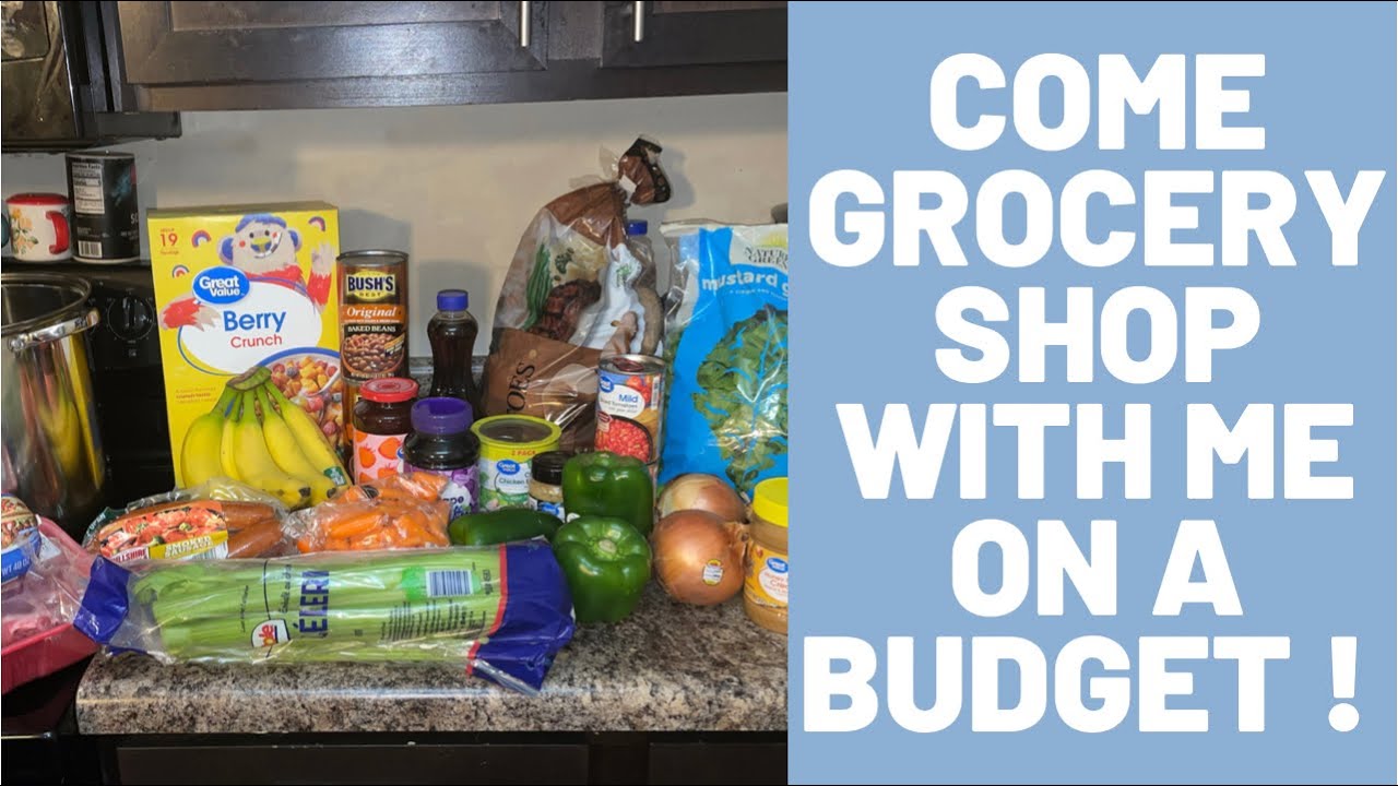 How to grocery shop on a budget with Vally ! groceryhaul budget 