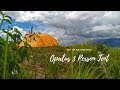 Set Up tent | Naturehike Opalus 3