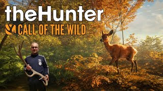 Gechilltes jagen am Sonntag / The Hunter - COTW