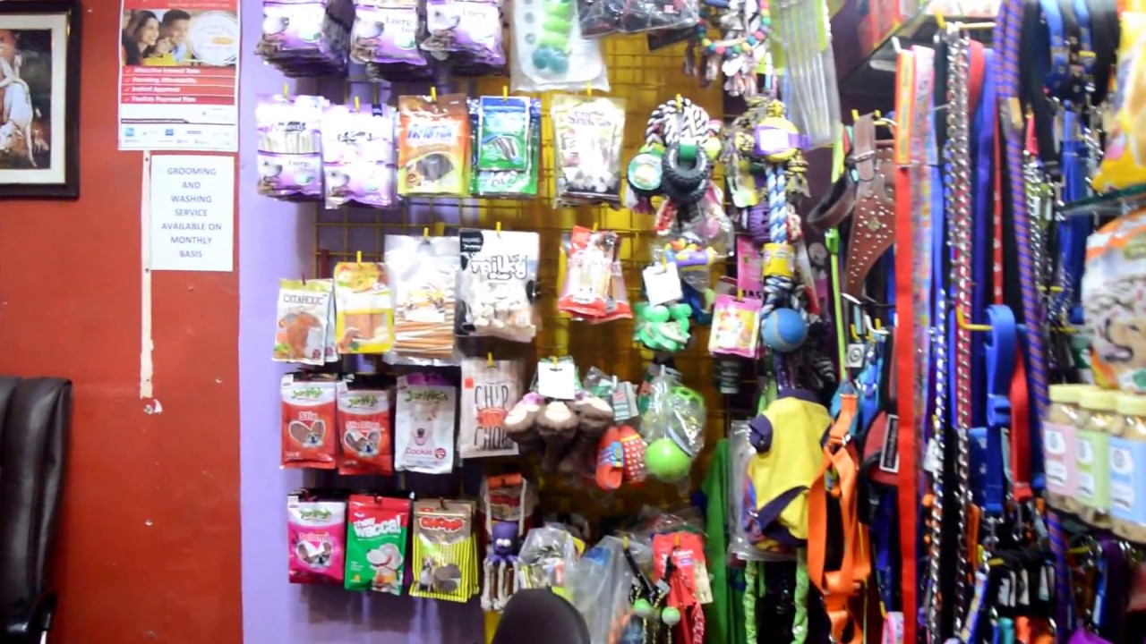 The Royal pets pet shop