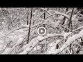 ♫ Steve Jablonsky ~ Infinite White ~ Потрясающие красоты зимы (Ленинградская область)