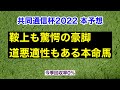 【共同通信杯2022】サリオスに似た素質馬が登場！