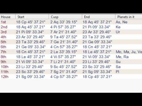 Bhava Chart Interpretation