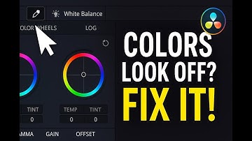 Fix White Balance in Seconds! 🎨 | DaVinci Resolve Tip